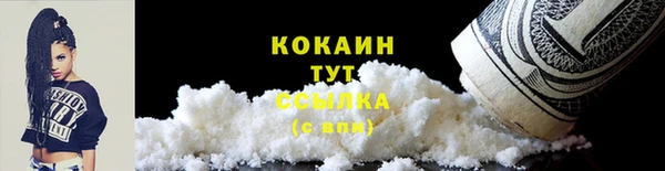 крисы Новокубанск