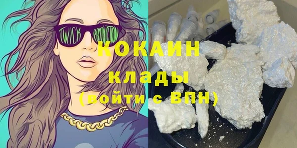 крисы Новокубанск