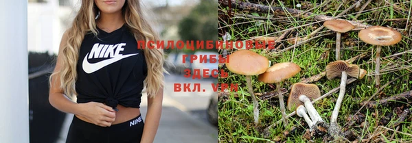 молекула духа Нея